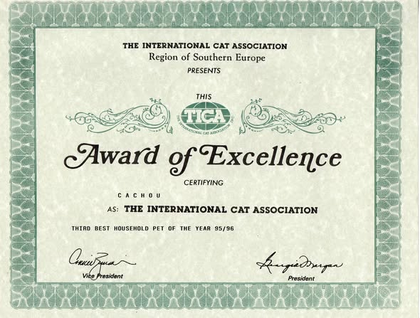 Award of excellence
