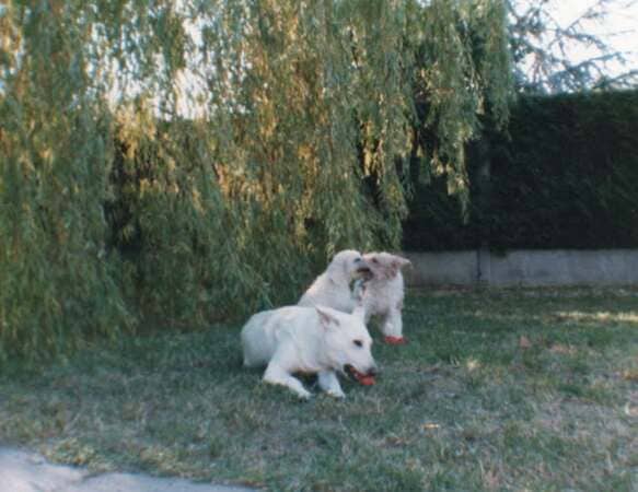 attention aux doigts