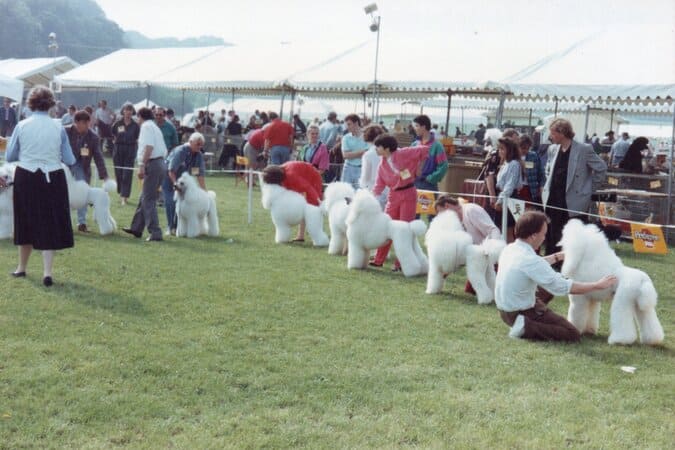 exposition de Longtchamps