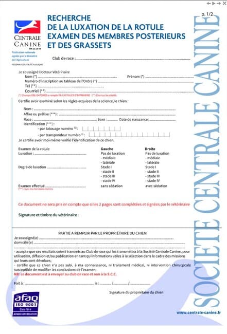 test de la luxation de la rotule