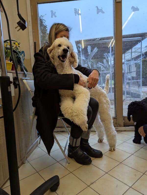 Pachou, le papa d'Appoline