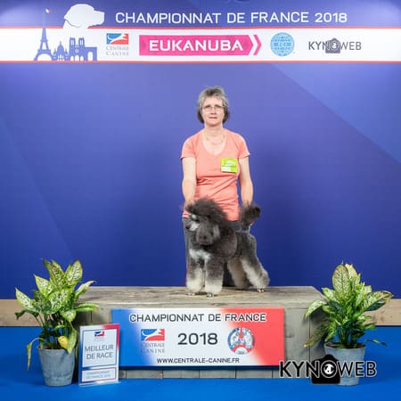 Hermione championnat de France, meilleur de race