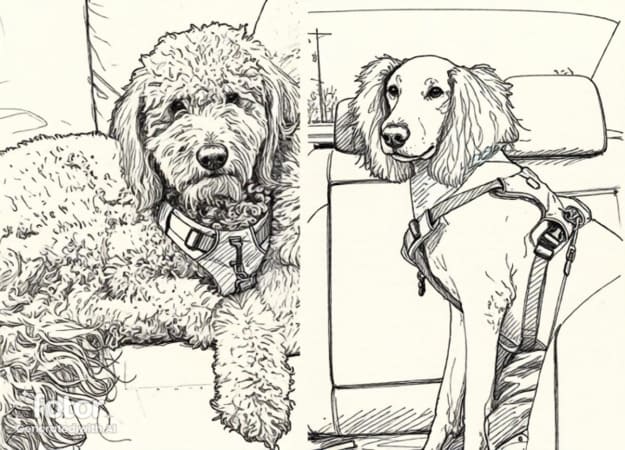 Mauvais toilettage et correction