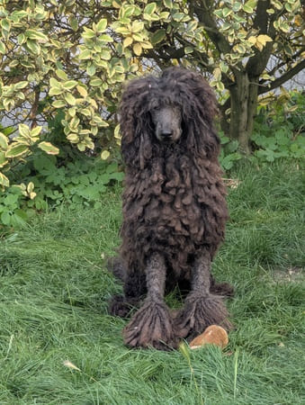 Ulana de Cybèle des Can'Tzu