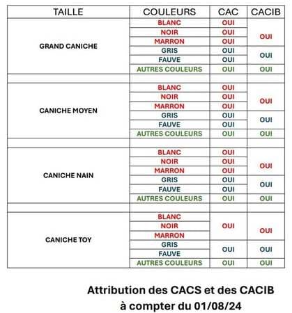 cacib pour les caniches