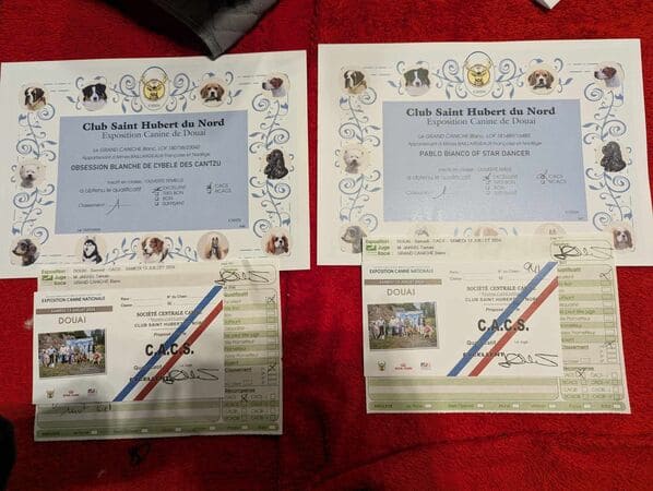 exposition canine cacs