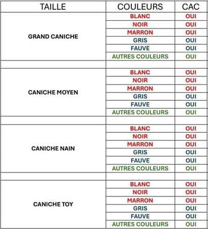 exposition canine cacs