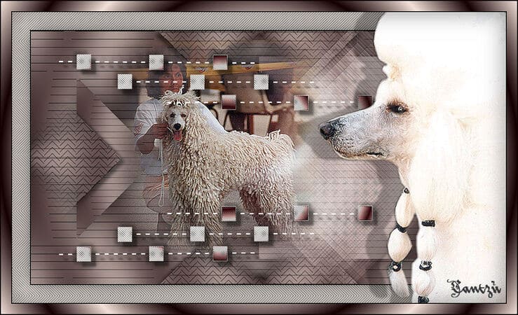 Tout dire sur les expositions canines