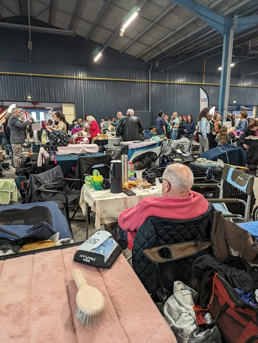 expositions canines intérieures