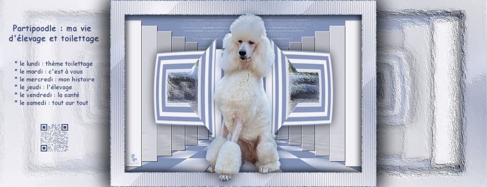 header concours photo 15 groupe facebook - Ulphy